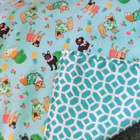 Outdoor Blanket Frenchie Pug Corgi Doxie Water Repellent 50" x 60" Aqua NWT - Picture 2 of 16